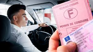 Permis de Conduire France